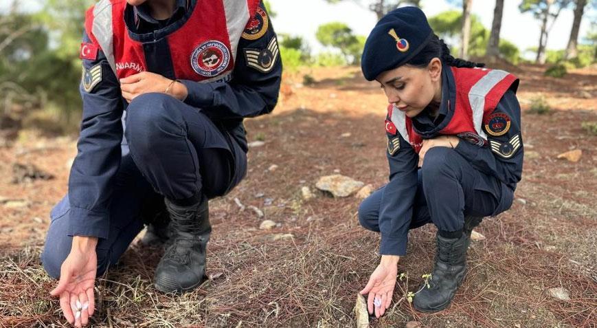 Sadece 15 gün görülüyor! Jandarma başında nöbet tutuyor